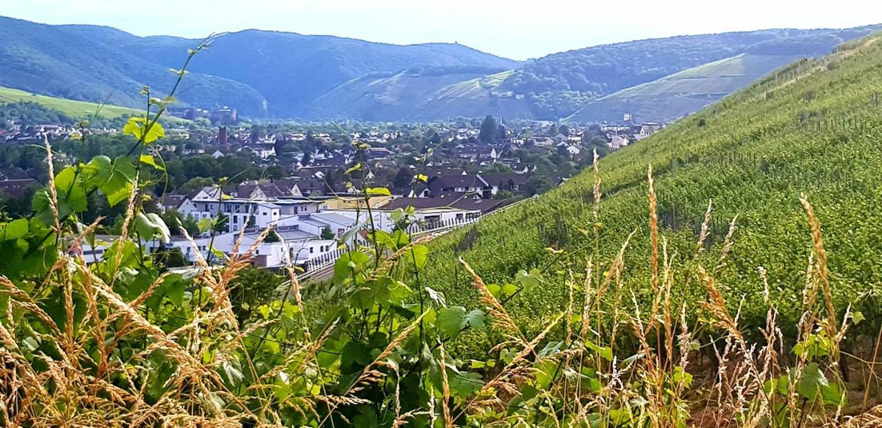 Ahrweiler Seelchen Bad Neuenahr-Ahrweiler Eksteriør bilde