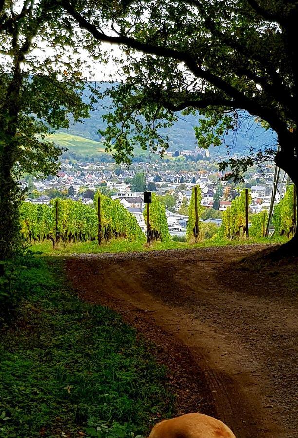 Ahrweiler Seelchen Bad Neuenahr-Ahrweiler Eksteriør bilde